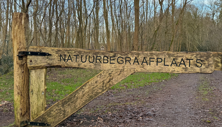 Alles wat je moet weten over een natuurbegraafplaats